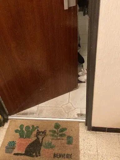 Ouverture de porte à la radio au Mesnil-le-Roi (78600)